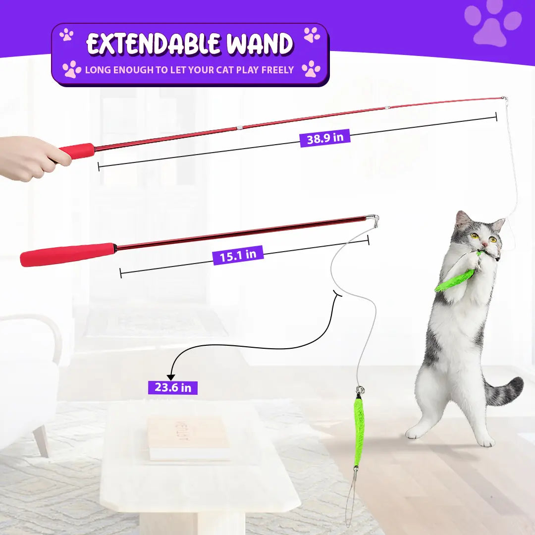 Interactive Cat Toy - Retractable Wand Toy and Feather Toys Refills for Indoor Cats to Chase and Exercise